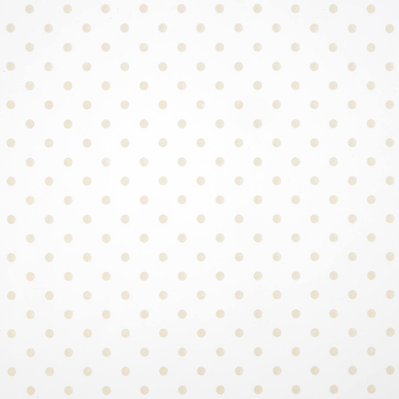 12 Pack: Gold Dot Transparent Packaging Wrap by Celebrate It™